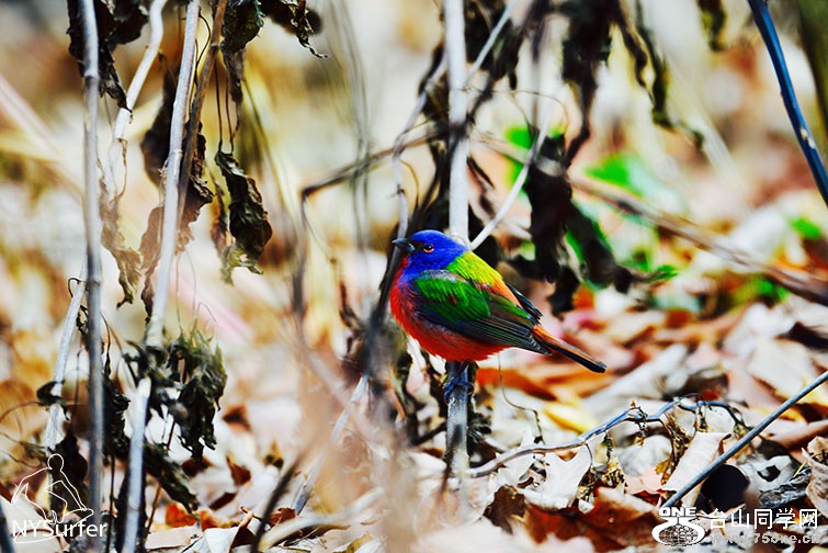 DSC_51369.jpg