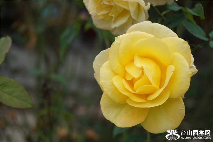 d767e9a08ff14377a3834ec4c2558ce0_720_0_max_jpg.jpg