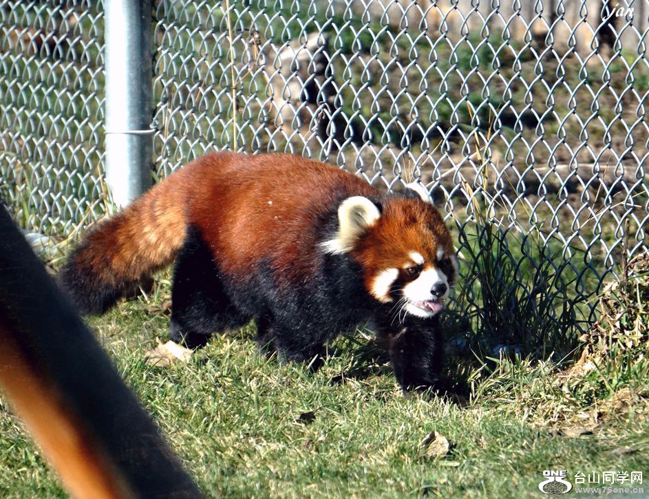 DSC00276_a.jpg
