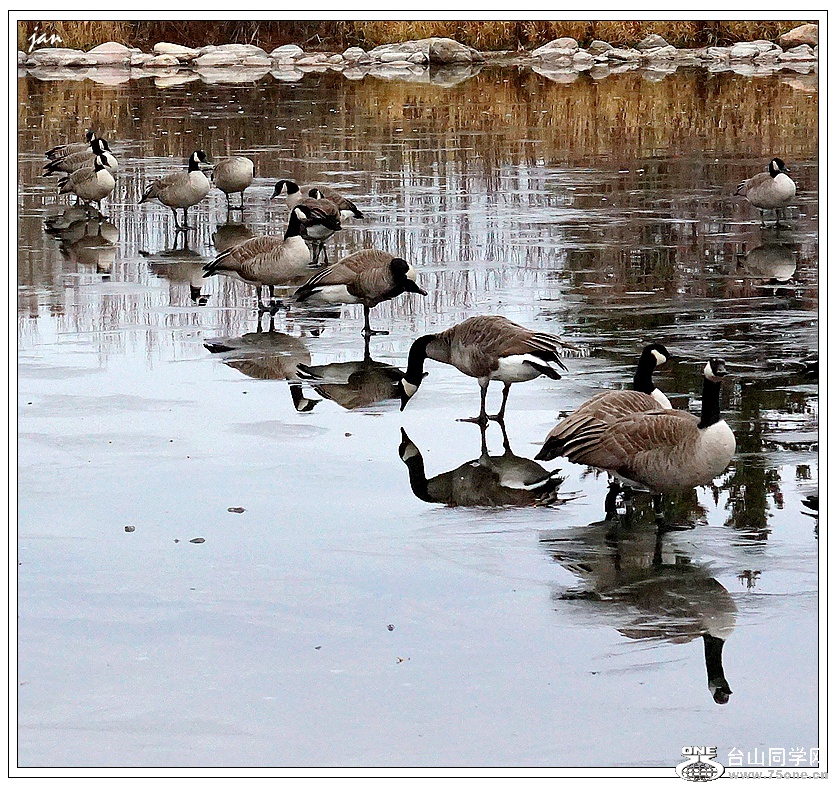 DSC00204_a.jpg