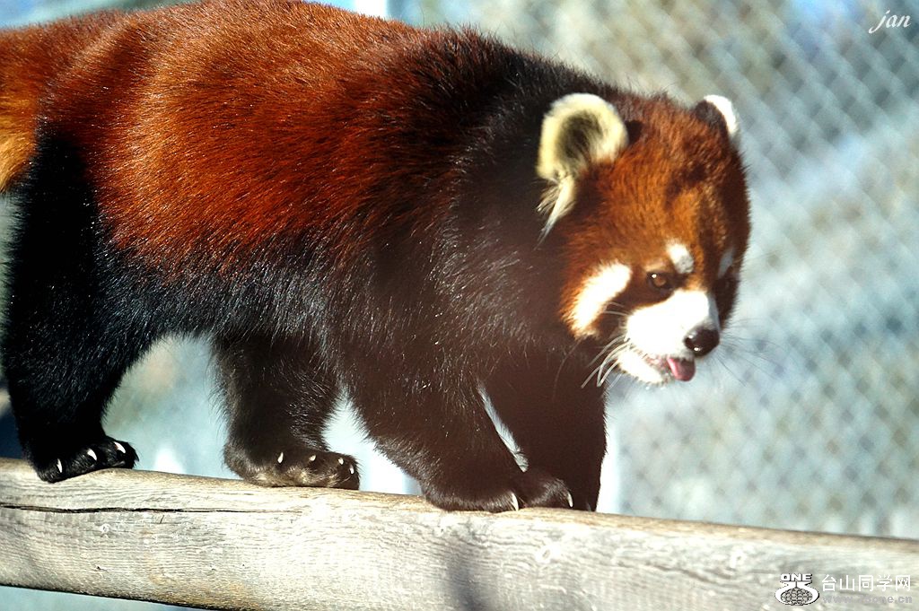 DSC00281_a.jpg