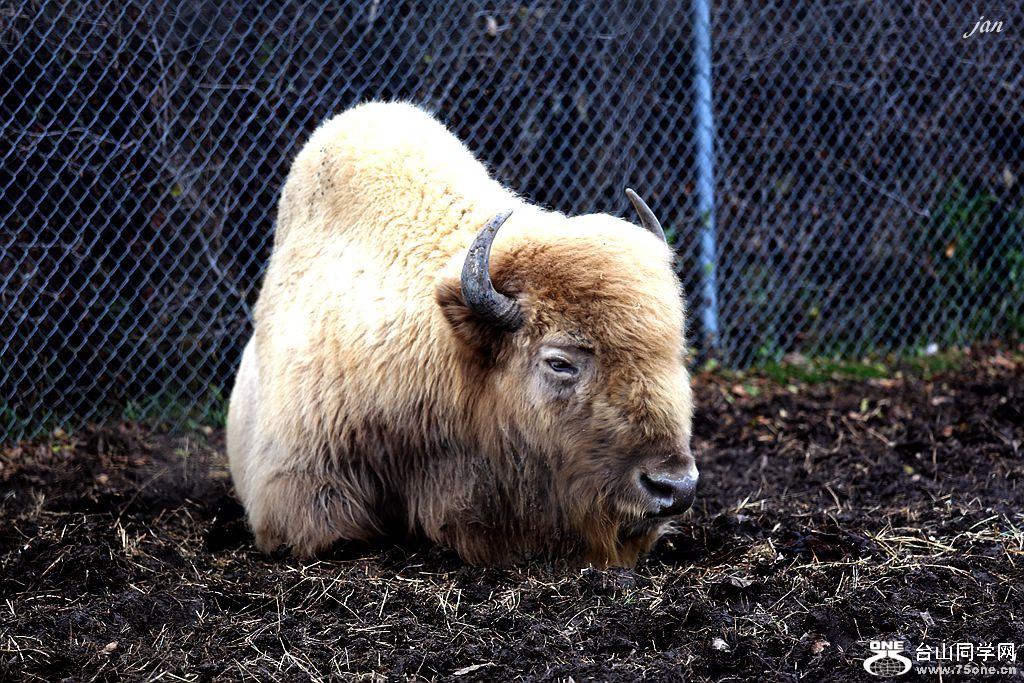 IMG_4636.JPG