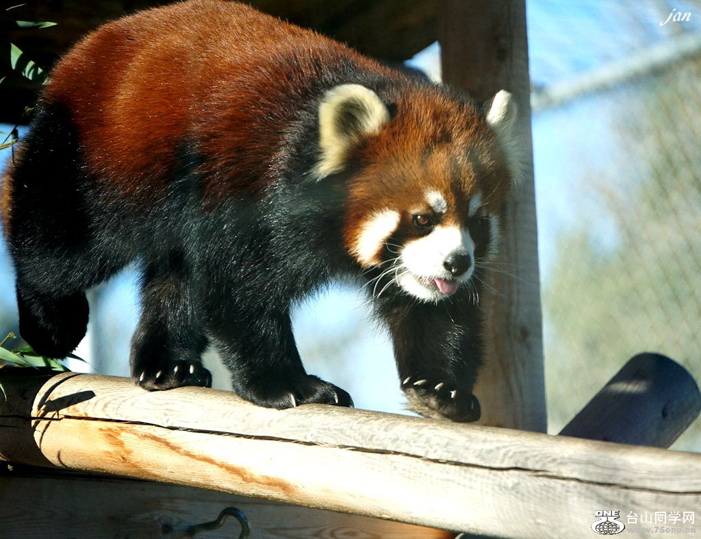 DSC00280_a.jpg