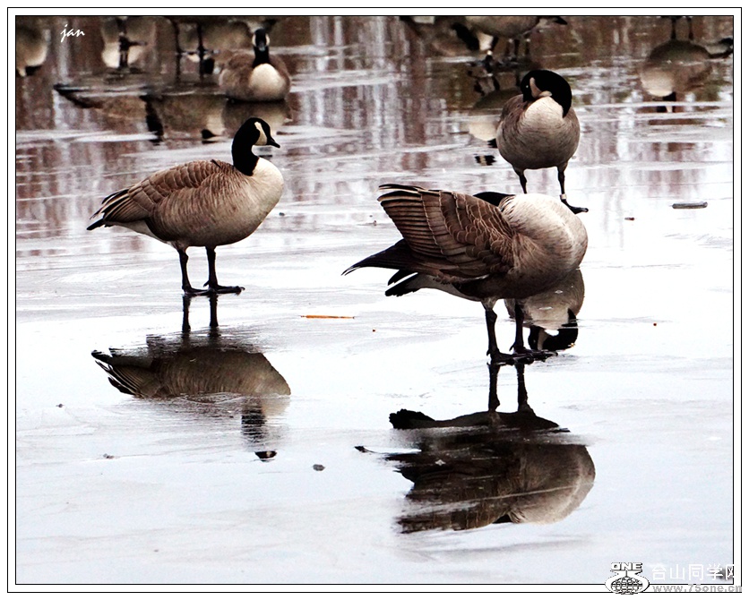 DSC00205_.jpg