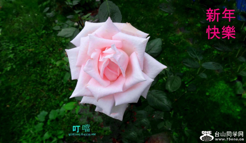 DSC09294a_1a.jpg