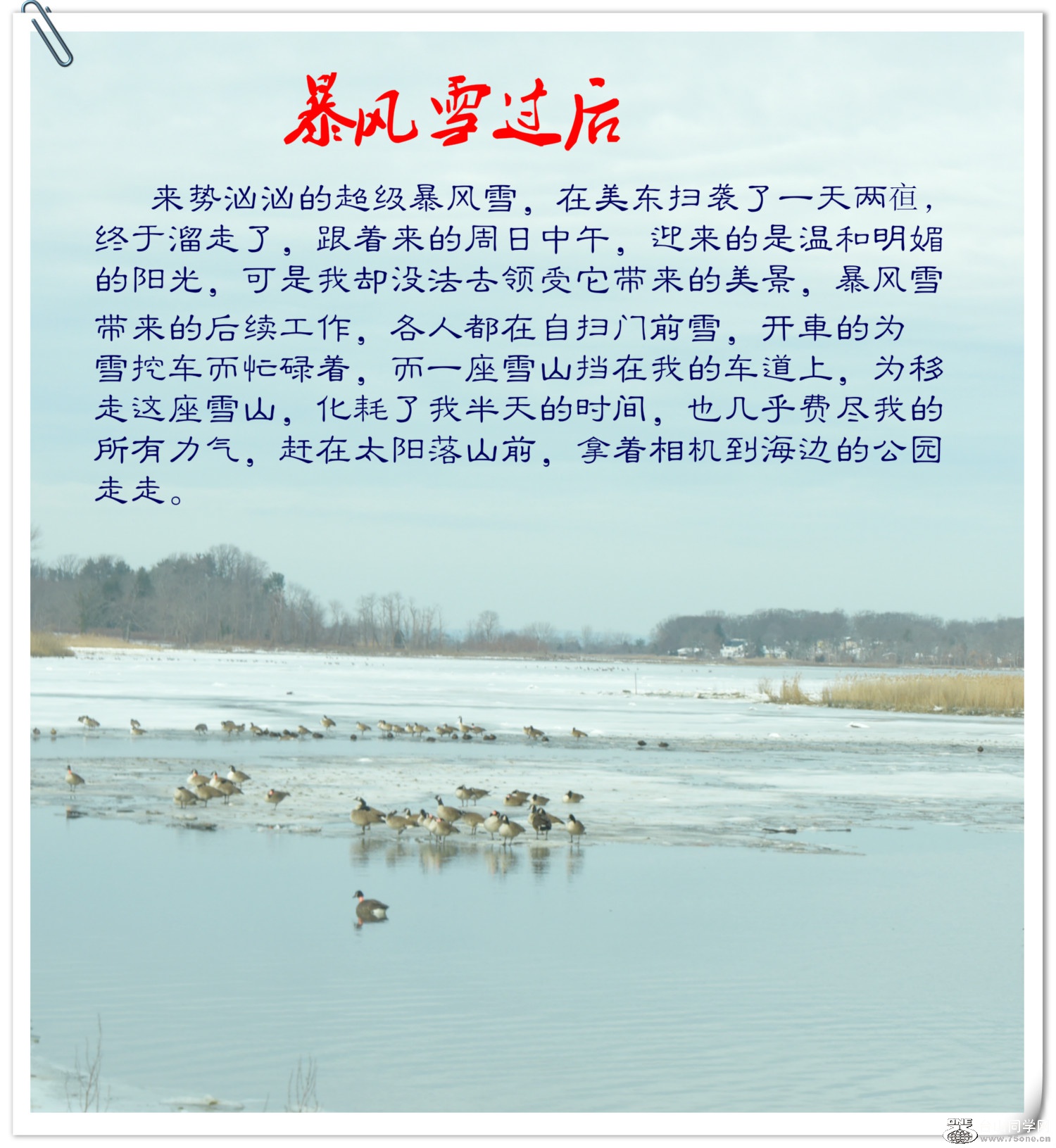 DSC_1331_meitu_34.jpg