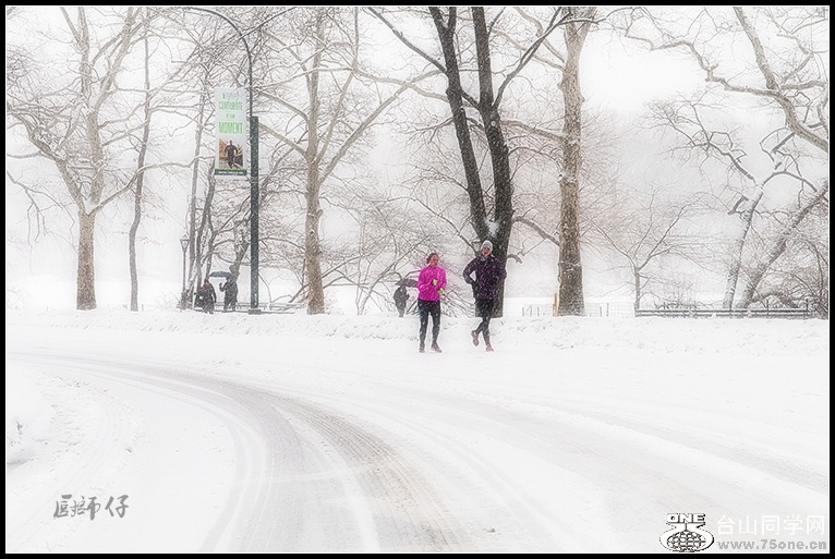 DSC_0272.jpg
