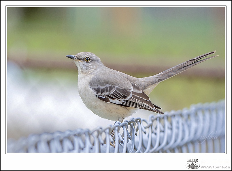DSC_7282_.jpg