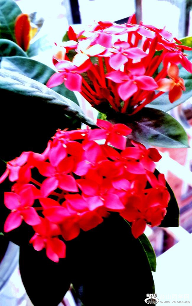 2016-01-13 17.22.20.jpg