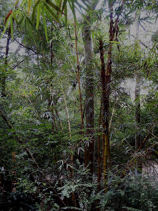 DSCF1621.jpg