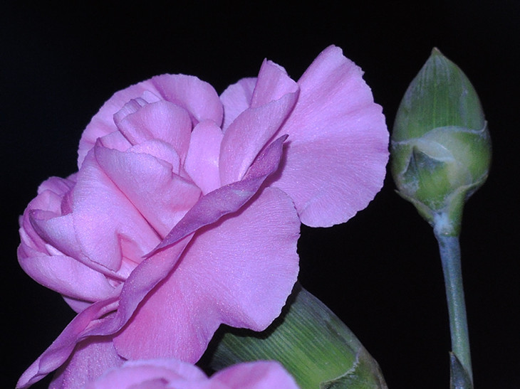 DSCN6773_.jpg