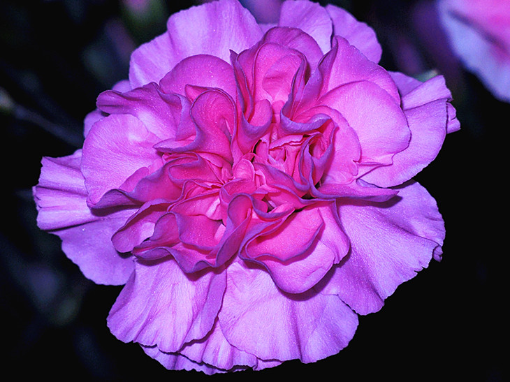 DSCN6796_.jpg