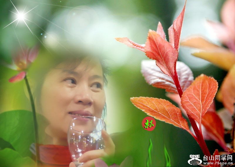 l2590288_conew3.jpg