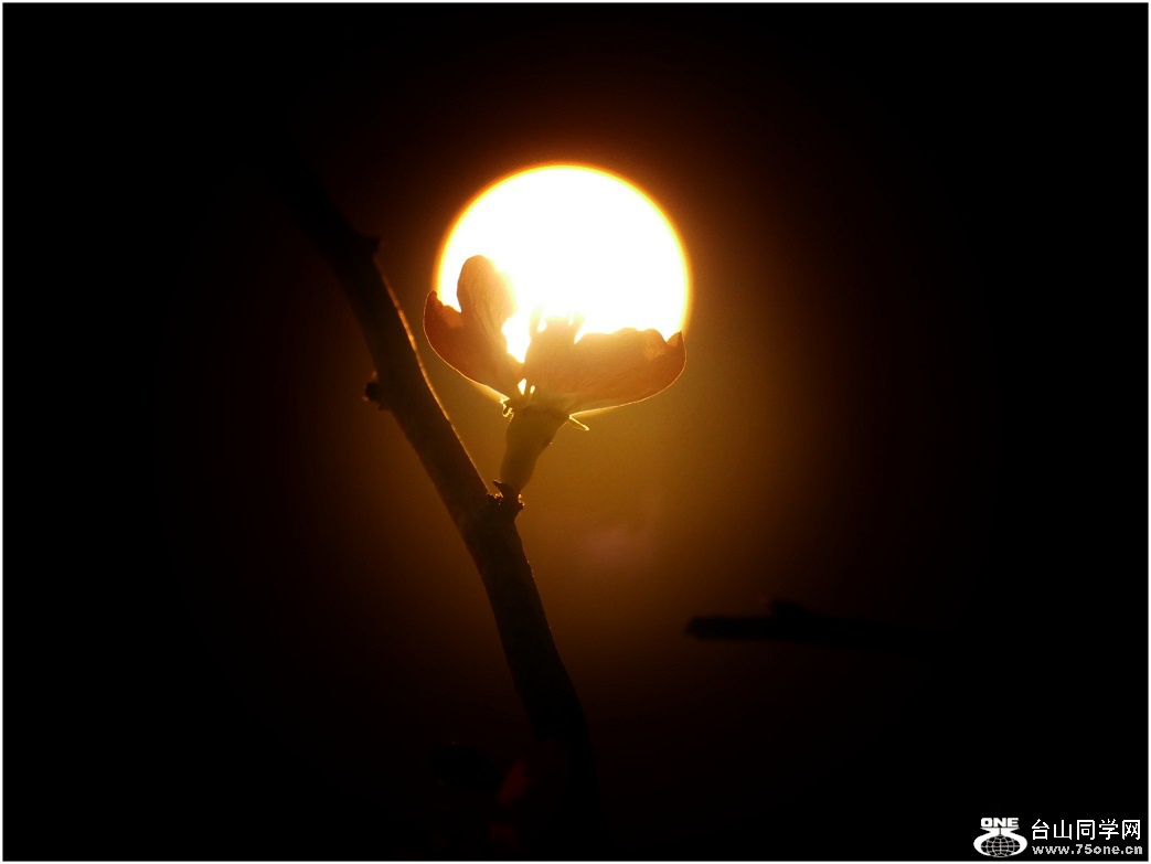 l2600400_conew1.jpg