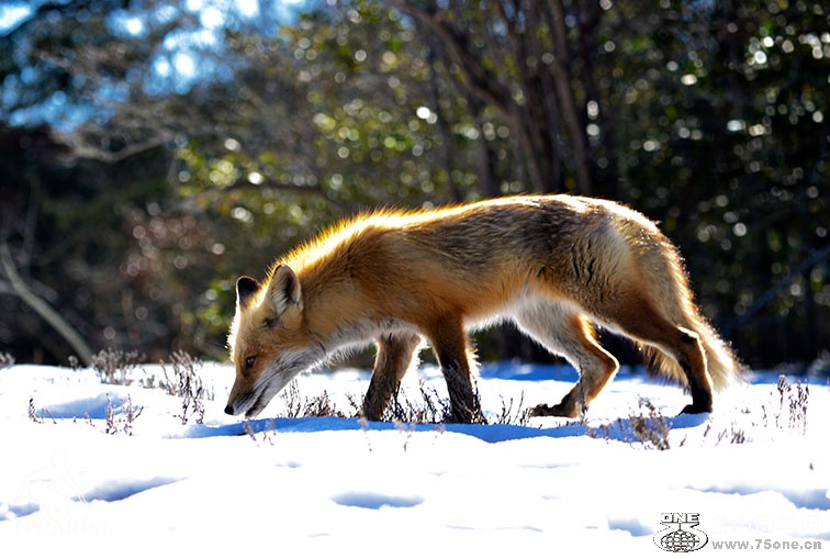 DSC_01459.jpg