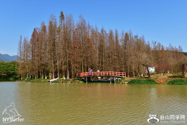 DSC_91927.jpg
