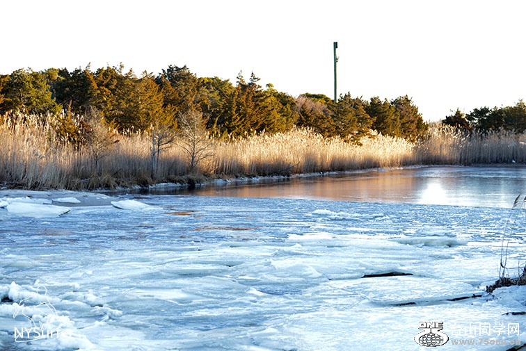 DSC_01125.jpg