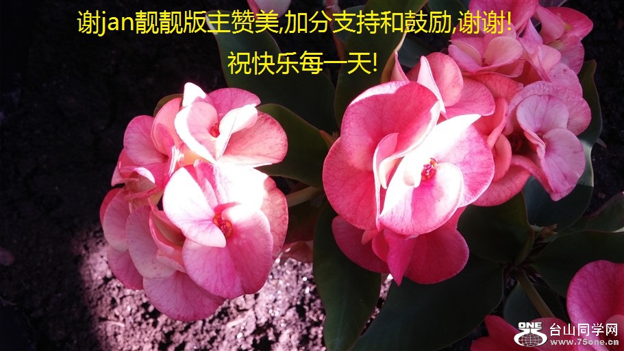 лjan,ӷֺ֧͹,лл!ףÿһ!.jpg