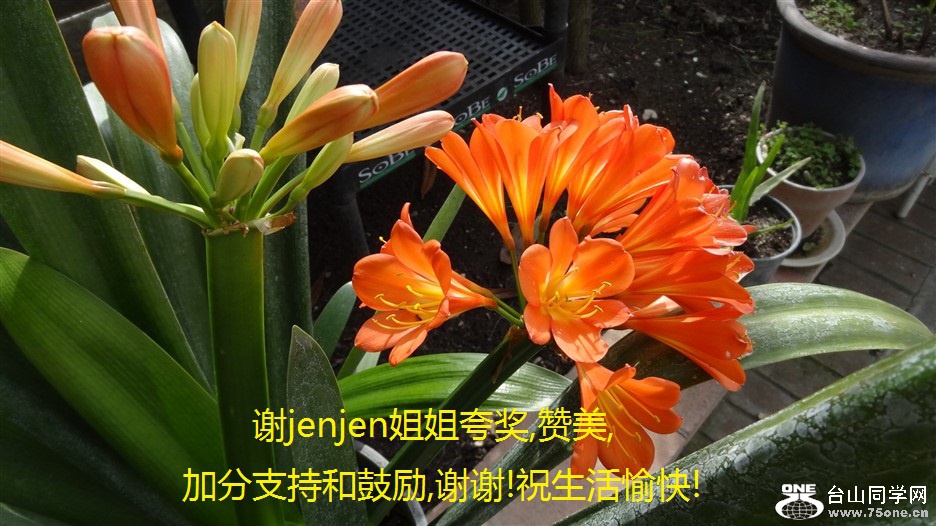 лjenjen佱,,ӷֺ֧͹,лл!ף!.jpg