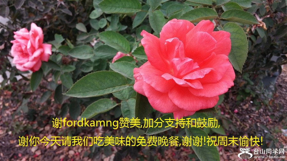 лfordkamng,ӷֺ֧͹,лǳζ,лл!ףĩ!.jpg