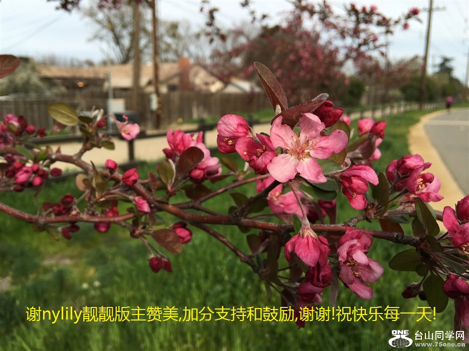 лnylily,ӷֺ֧͹,лл!ףÿһ!.jpg