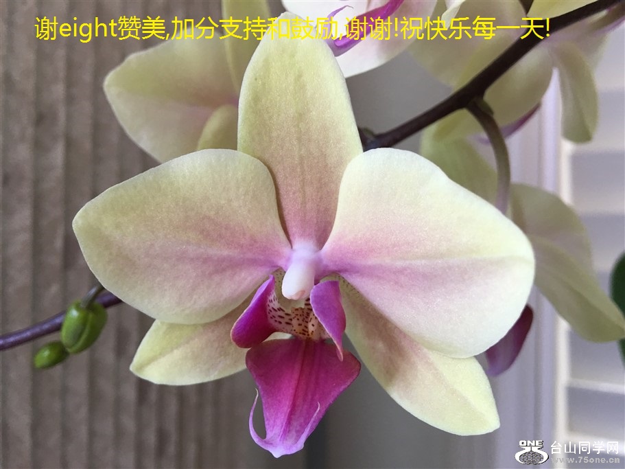 лeight,ӷֺ֧͹,лл!ףÿһ!.jpg