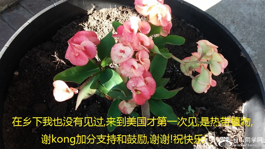 Ҳûм,ŵһμ,ȴֲ,лkongӷֺ֧͹,лл!ף!.jpg
