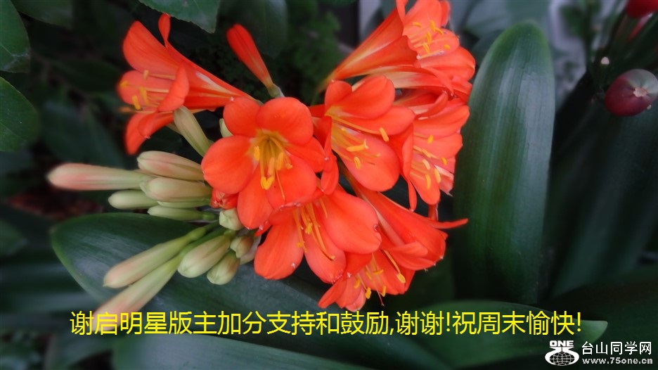 лǰӷֺ֧͹,лл!ףĩ!.jpg