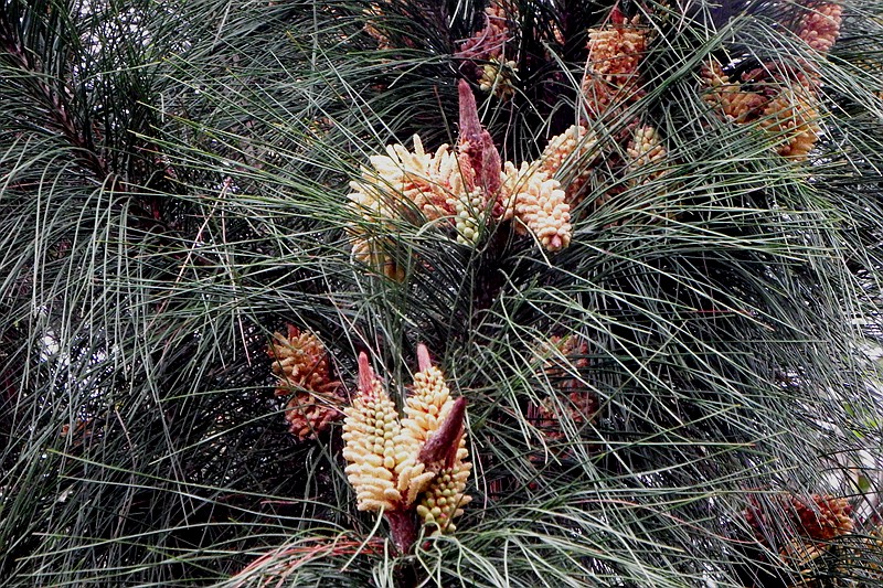 DSCF0418.JPG