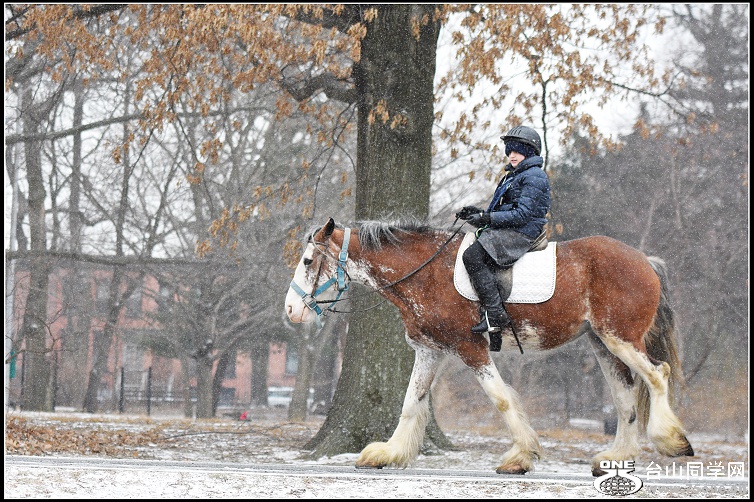 DSC_4277.jpg