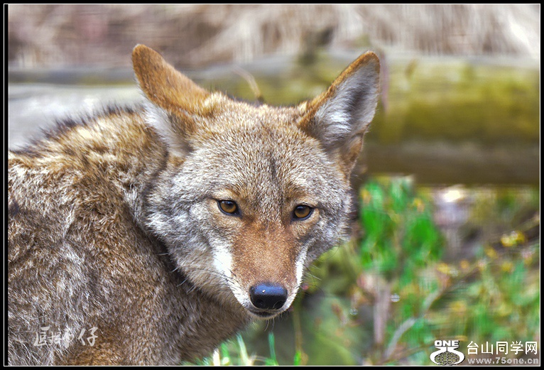 DSC_3671.jpg