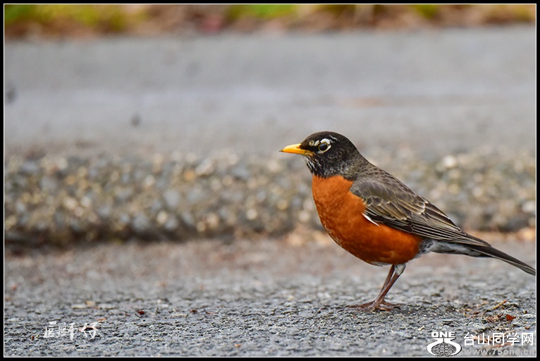 DSC_2978.jpg