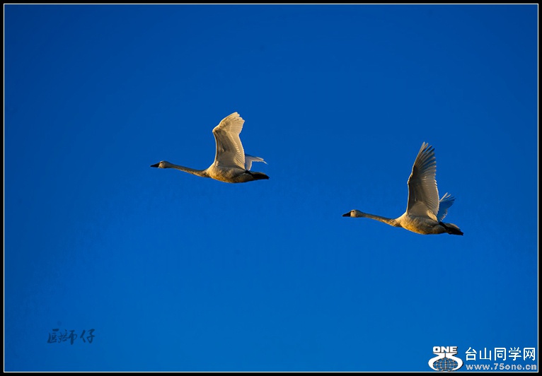 DSC_5019.jpg