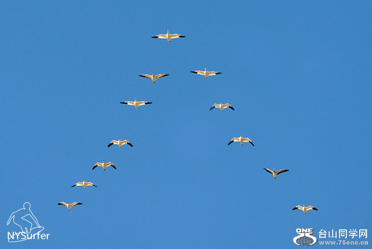 DSC_61562.jpg