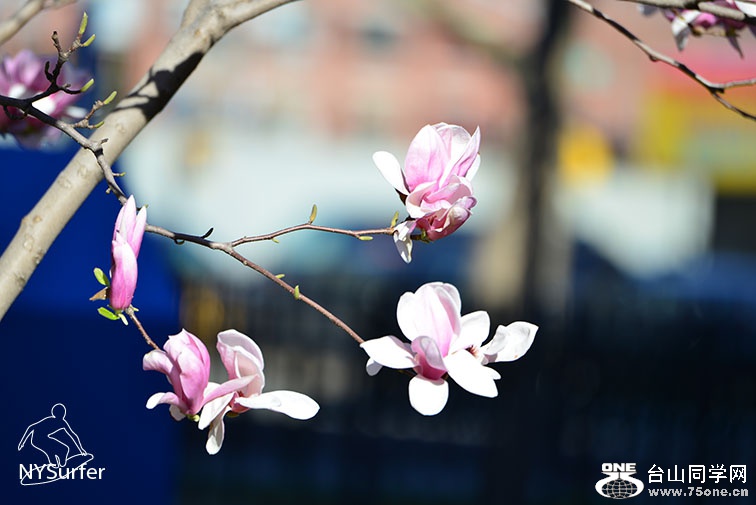 DSC_01246.jpg