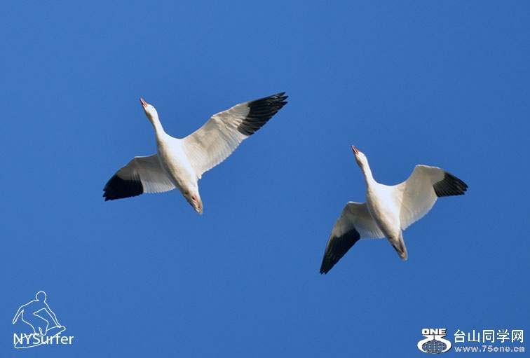 DSC_61223.jpg