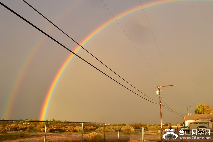DSC_0782.jpg