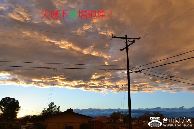DSC_0788.jpg
