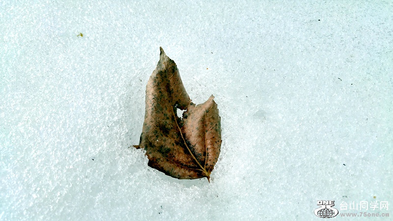 20160304_161850_HDR.jpg