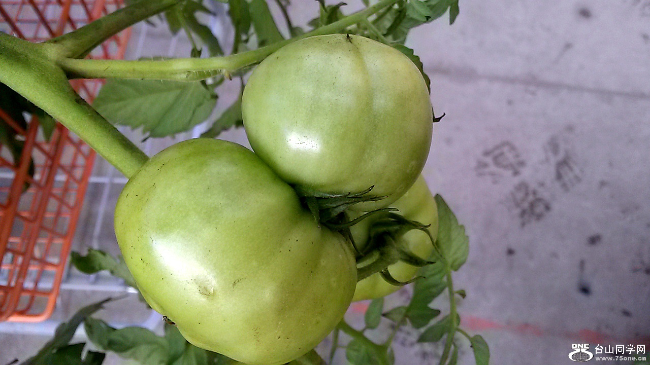 20140720_190847.jpg