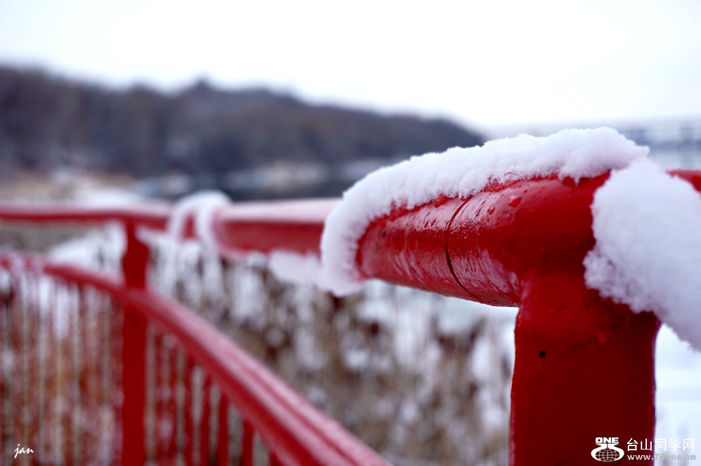 DSC01297_.jpg