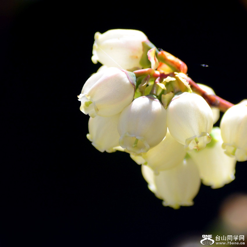 DSC_4827_10.jpg