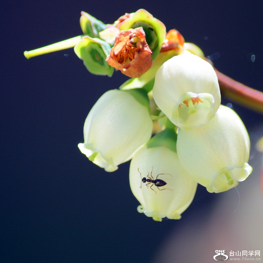 DSC_4795_13.jpg