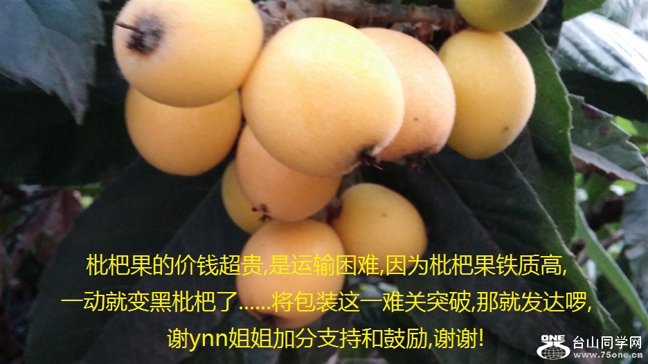 ˹ļǮ,,Ϊ˹ʸ,һͱ......װһѹͻ,Ǿͷ,л