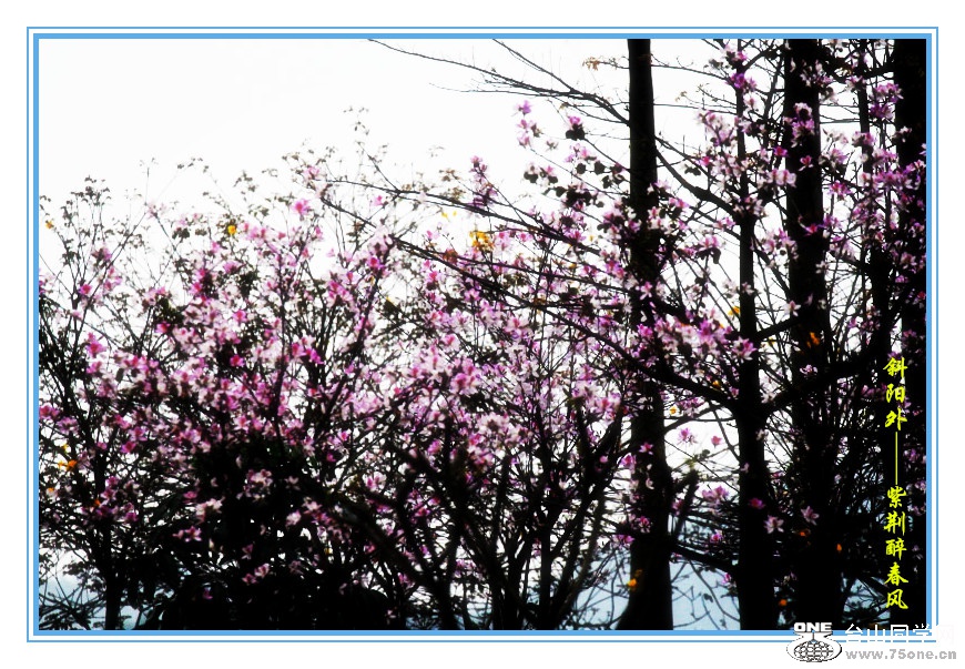DPP_201.3.8-120146_.jpg