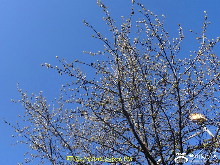 DSC02350_1.JPG