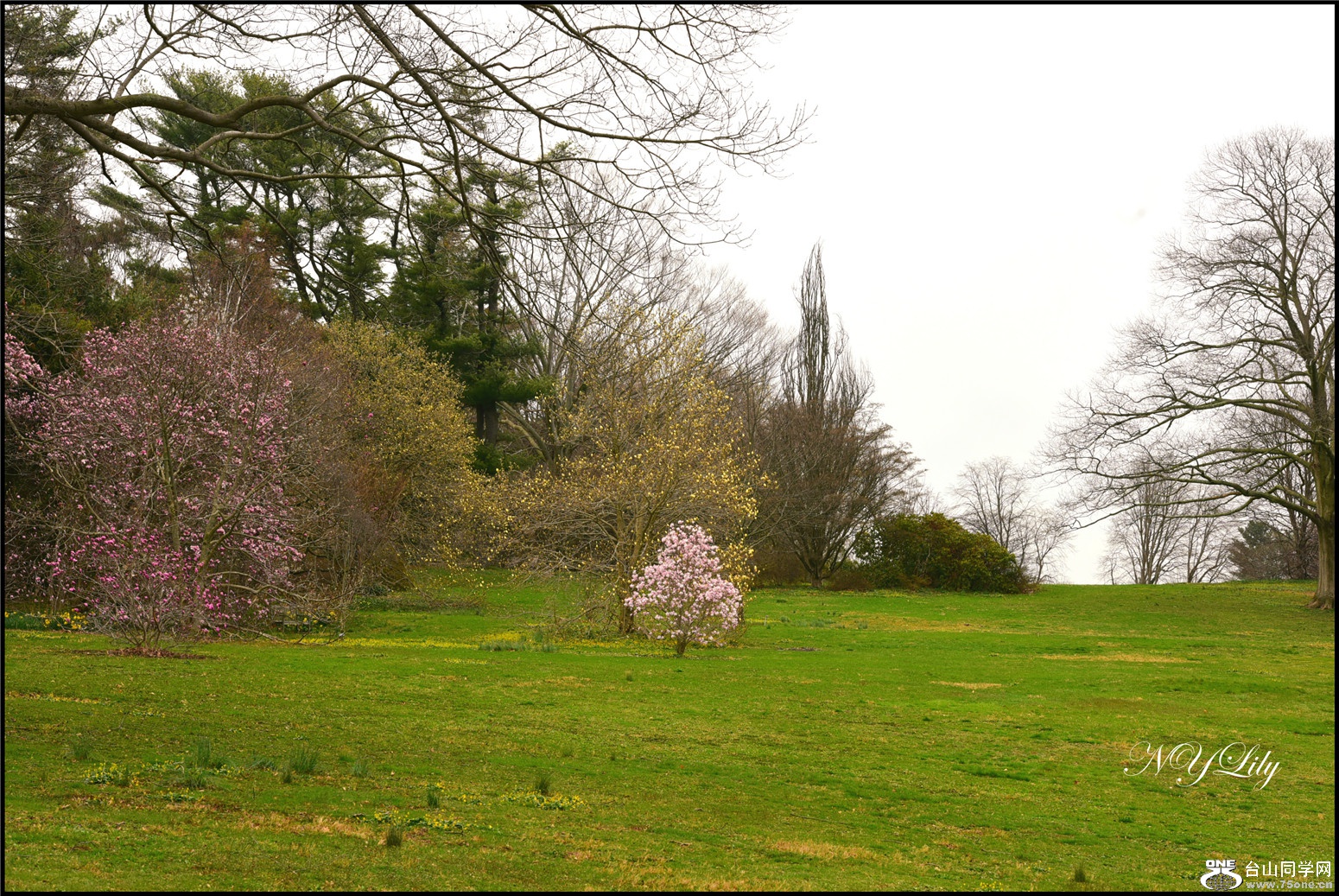 DSC_6413.jpg