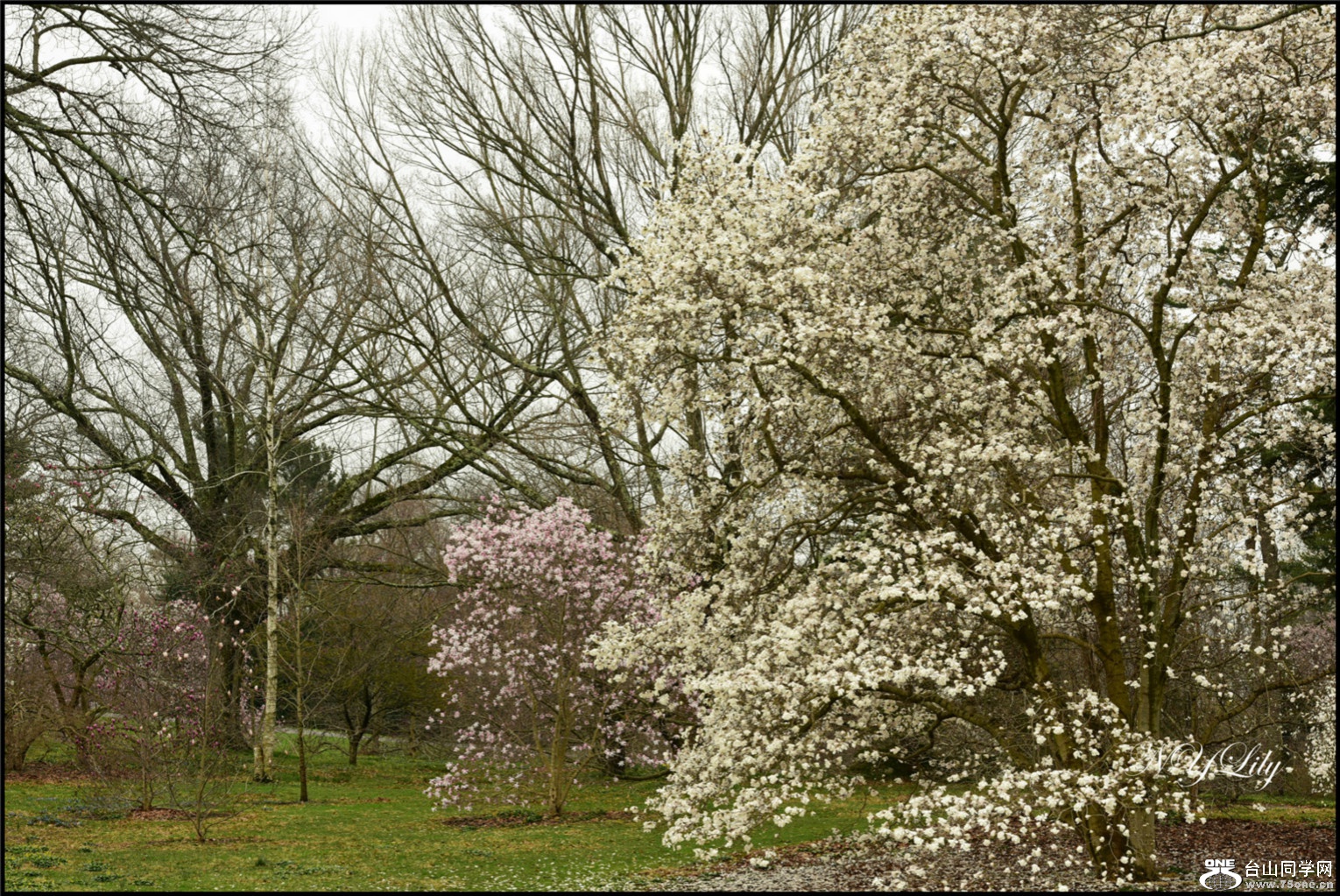 DSC_6415.jpg