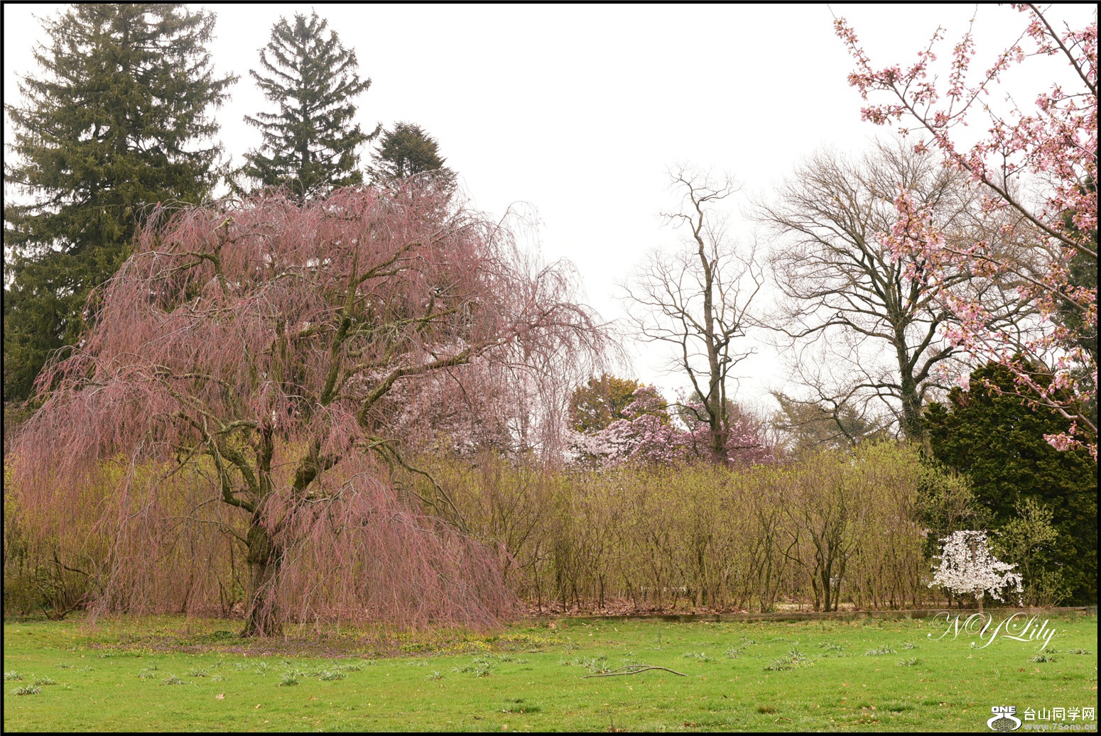 DSC_6379.jpg