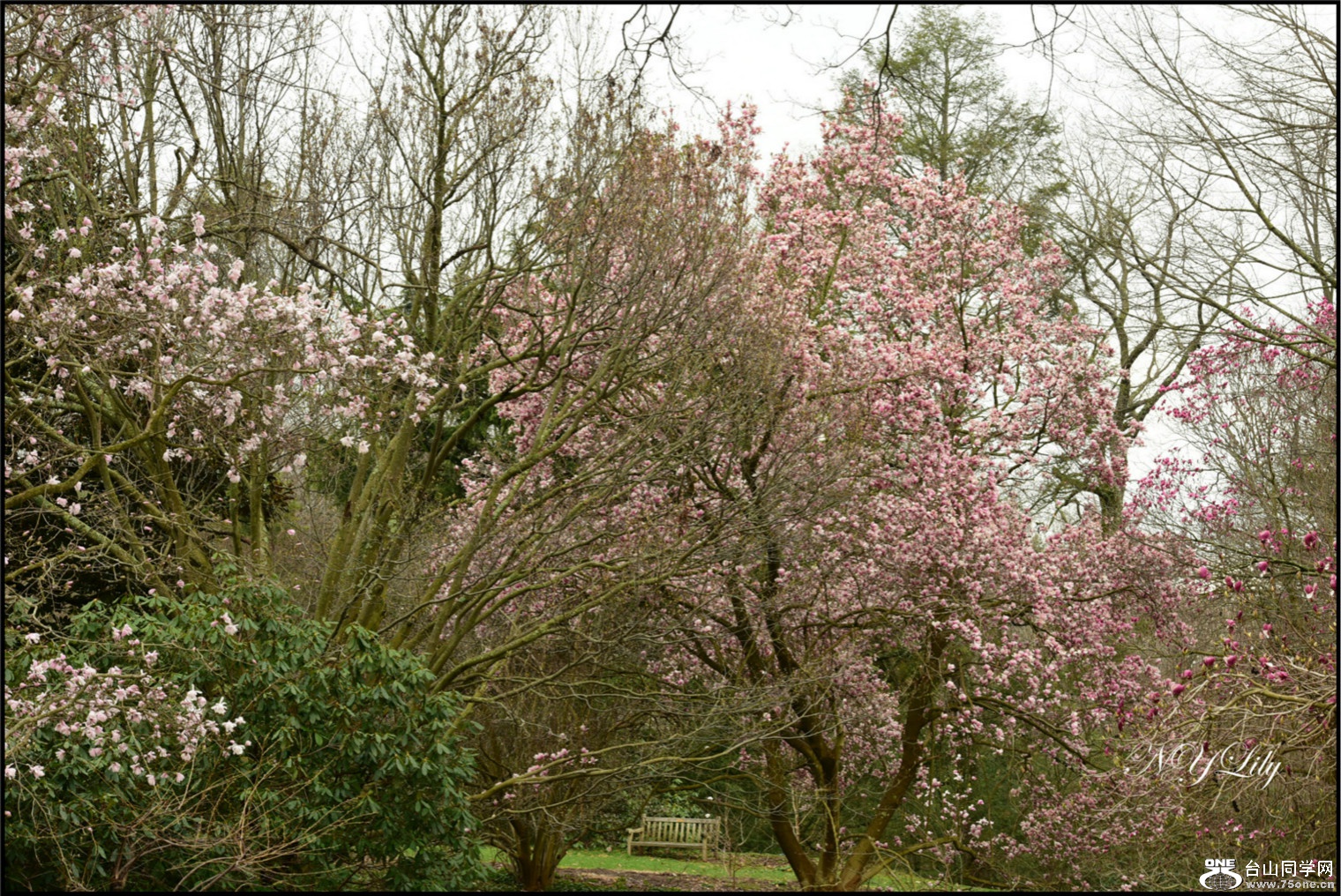 DSC_6416.jpg